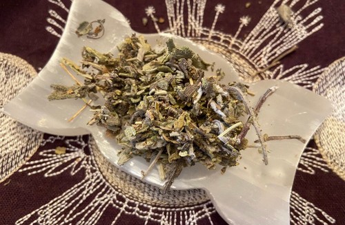 Common sage garden ward - sage,,